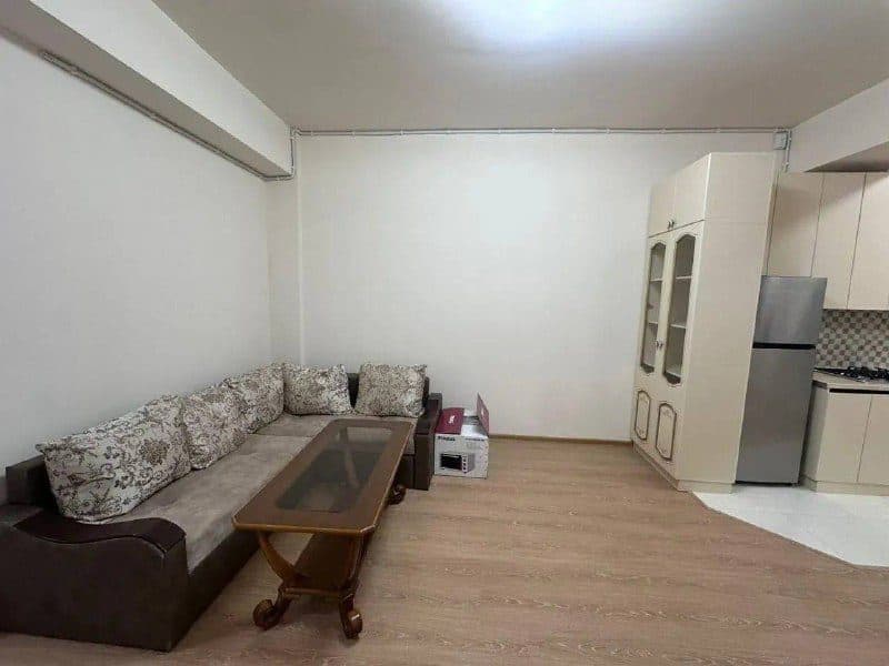 1-bedroom apartment in Yerevan