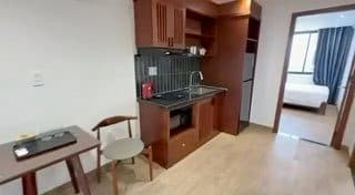 2-bedroom penthouse in Son Tra