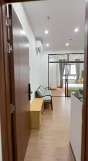 1-bedroom apartment in Son Tra