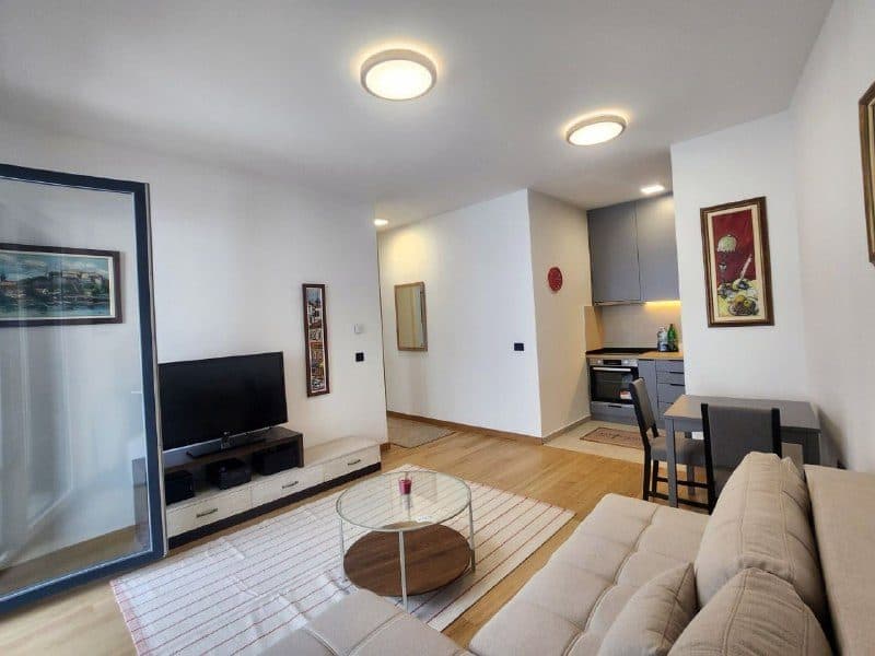 1-bedroom apartment in Grbavica