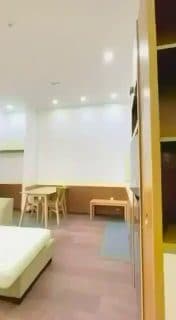 1-bedroom apartment in My An
