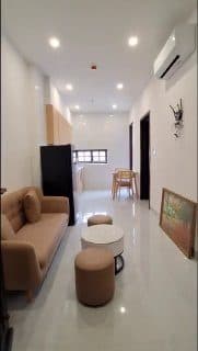 1-bedroom apartment in Son Tra