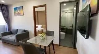 1-bedroom apartment in Son Tra