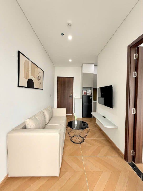 1-bedroom apartment in Son Tra