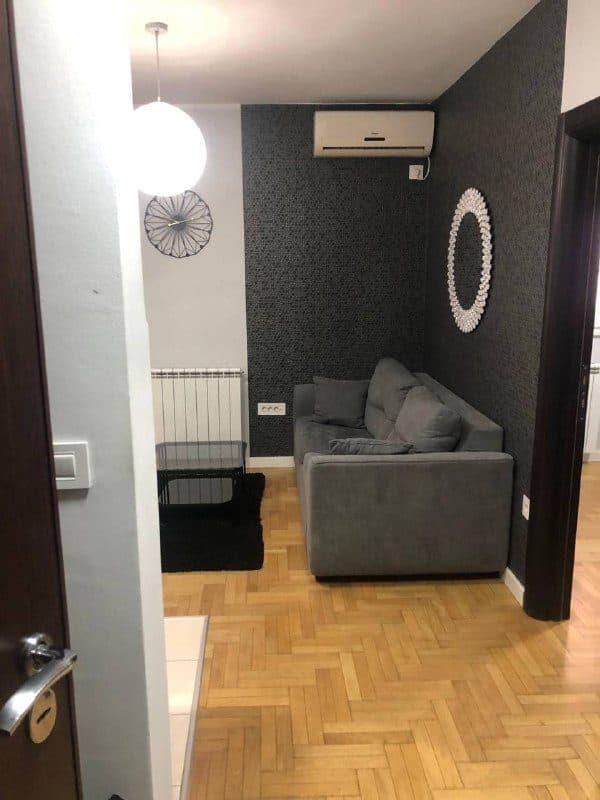 1-bedroom apartment in Vracar
