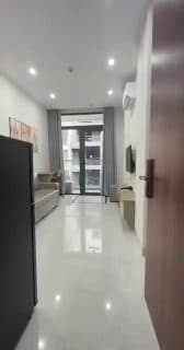 1-bedroom apartment in Son Tra